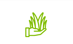 Landscape Design and Installation