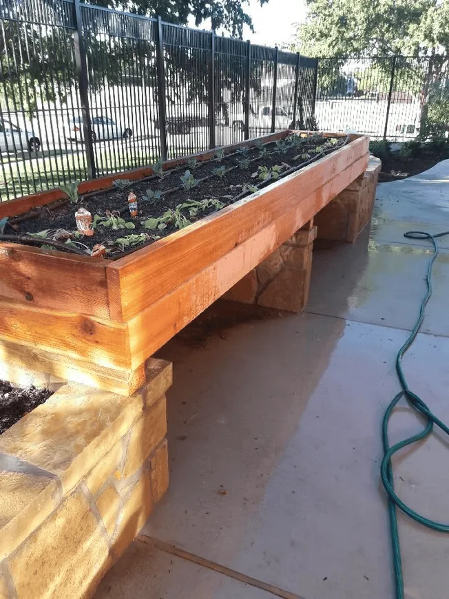 Conroy's Lawn & Landscape Planters & Pots project in Keller TX