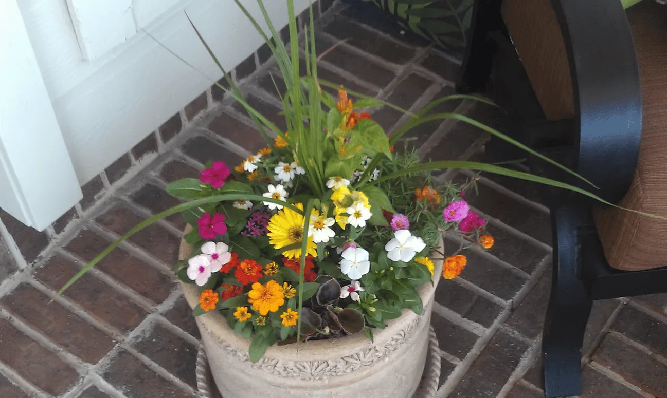 Conroy's Lawn & Landscape Planters & Pots project in Keller TX