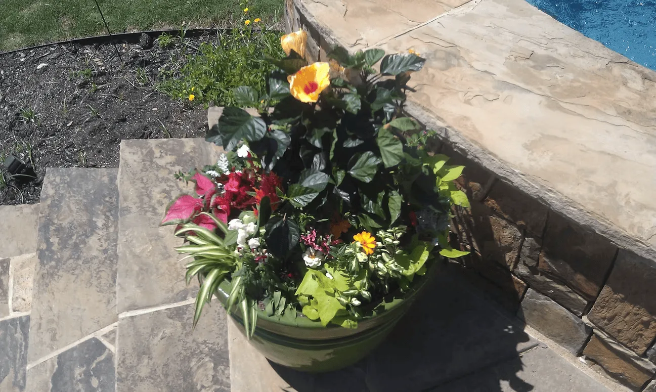 Conroy's Lawn & Landscape Planters & Pots project in Keller TX
