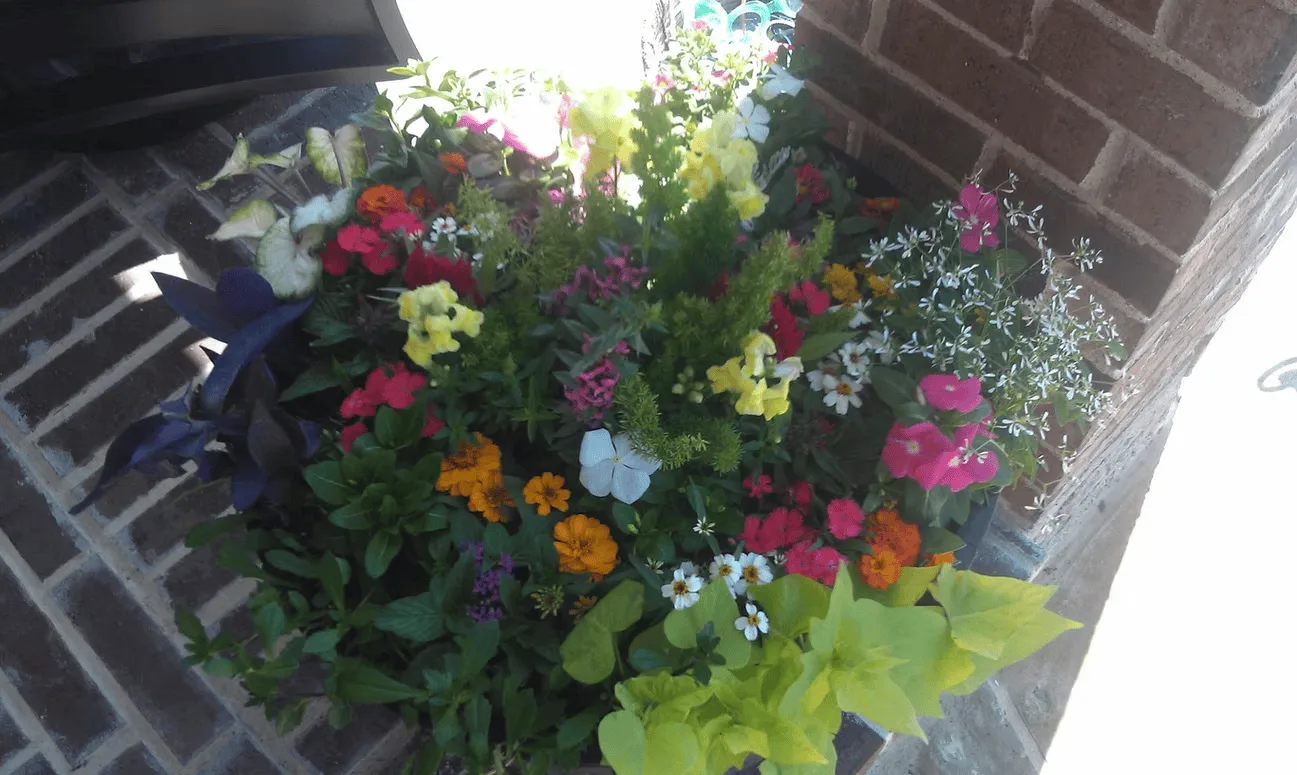 Conroy's Lawn & Landscape Planters & Pots project in Keller TX