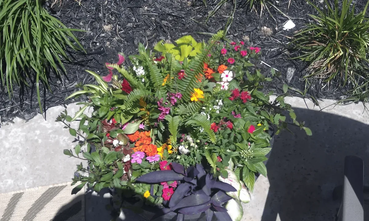Conroy's Lawn & Landscape Planters & Pots project in Keller TX