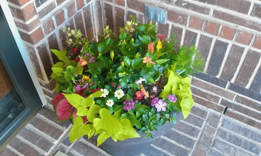 Conroy's Lawn & Landscape Planters & Pots project in Keller TX