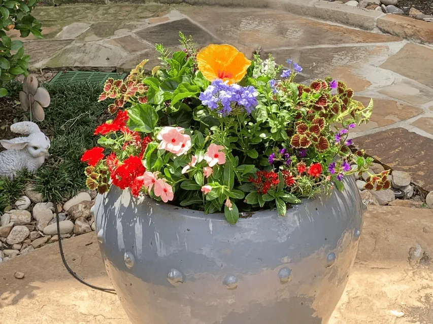 Conroy's Lawn & Landscape Planters & Pots project in Keller TX