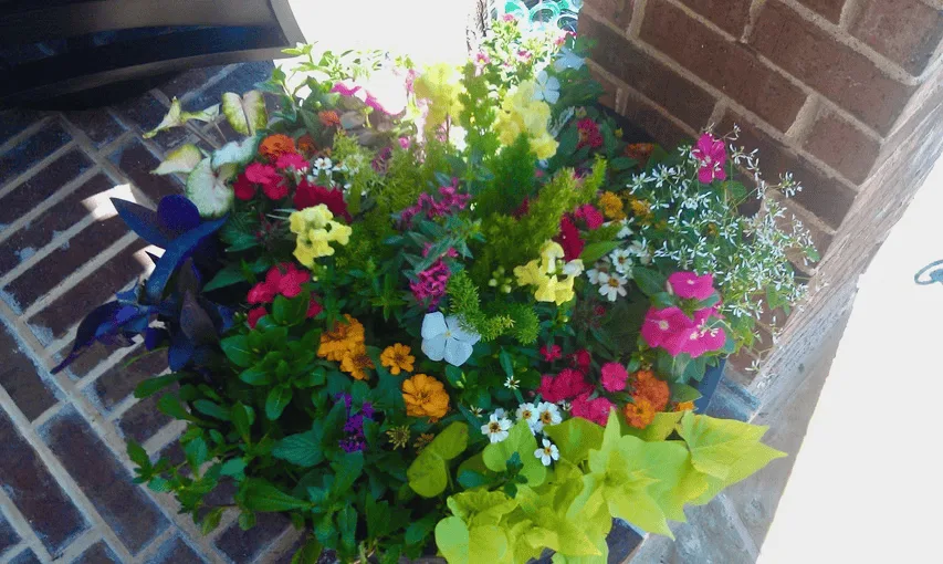 Conroy's Lawn & Landscape Planters & Pots project in Keller TX