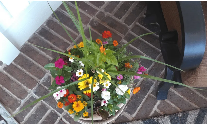 Conroy's Lawn & Landscape Planters & Pots project in Keller TX