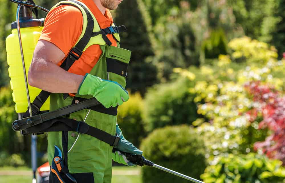 conroys-lawn-landscaping-fertilization-weed-control-keller-tx-photo2