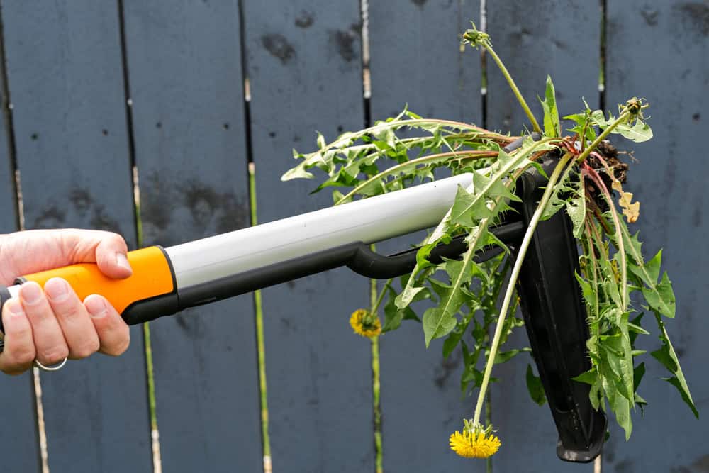 conroys-lawn-landscaping-fertilization-weed-control-keller-tx-photo3