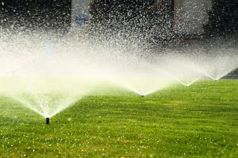 Smart Drainage Solutions for Summer Storms