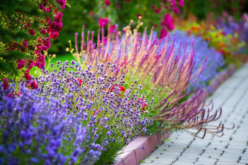 conroys-lawn-landscaping-landscape-design-installation-keller-tx-photo7 conroys-lawn-landscaping-landscape-design-installation-keller-tx-photo7