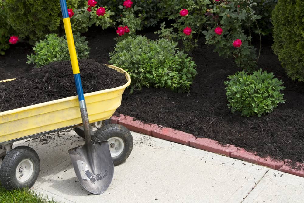 conroys-lawn-landscaping-landscape-maintenance-keller-tx-photo3