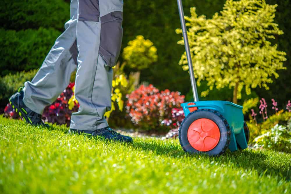 conroys-lawn-landscaping-landscape-maintenance-keller-tx-photo4