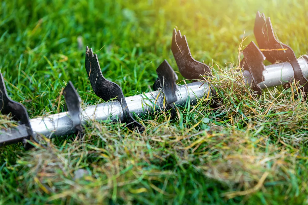 conroys-lawn-landscaping-landscape-maintenance-keller-tx-photo5jpg