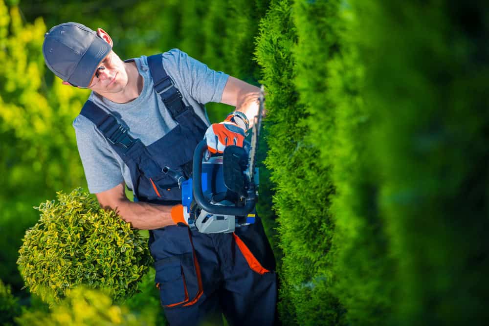 conroys-lawn-landscaping-landscape-maintenance-keller-tx-photo5jpg