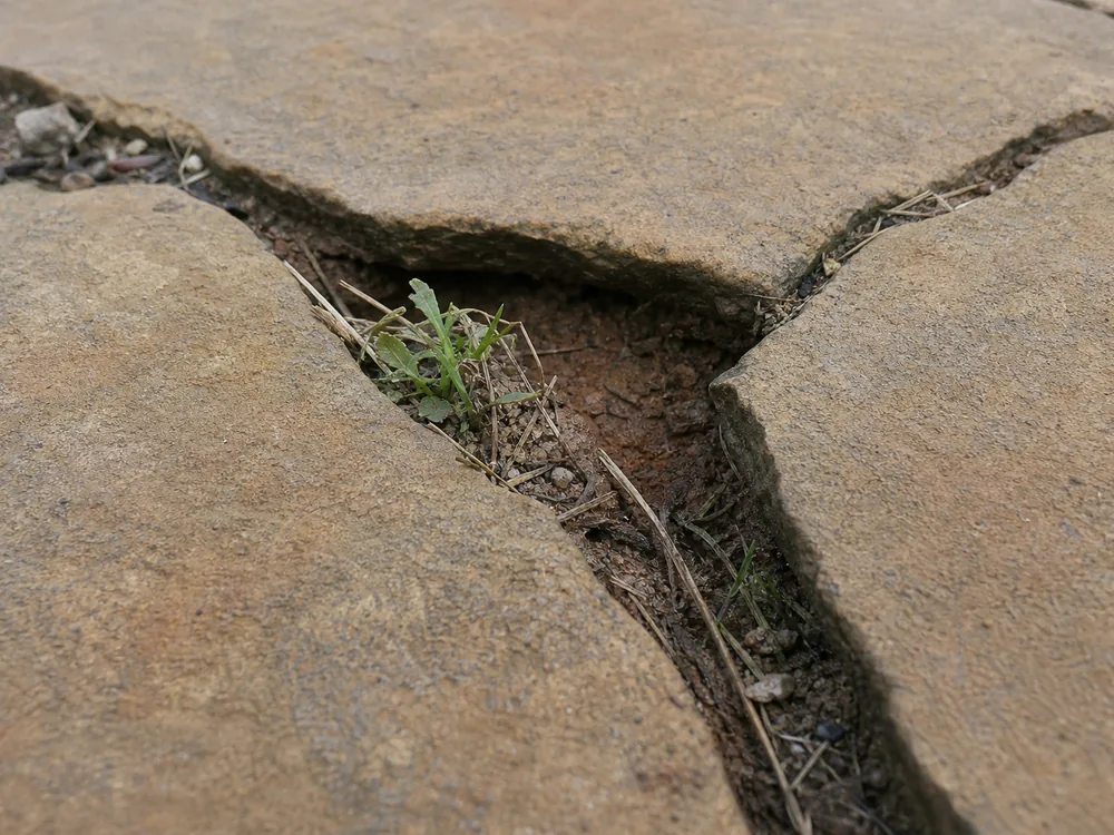 Settled flagstone joint with washed out sand showing why base preparation matters