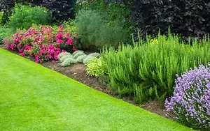 lawn-maintenance-services-page