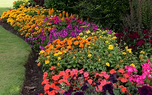 flower-bed-maintenance-services-page