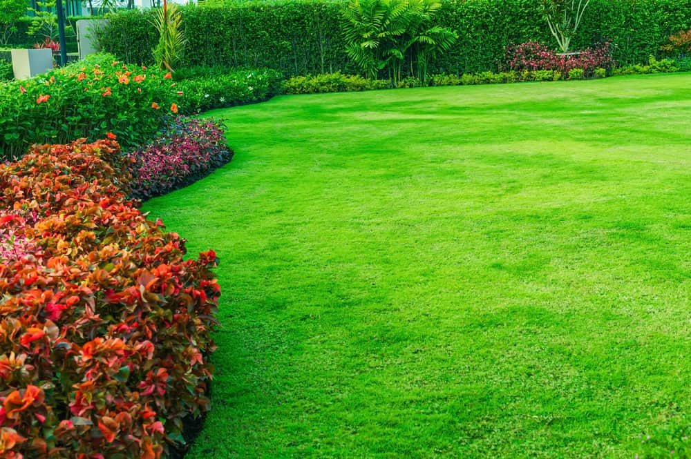 conroys-lawn-landscaping-fertilization-weed-control-keller-tx conroys-lawn-landscaping-fertilization-weed-control-keller-tx