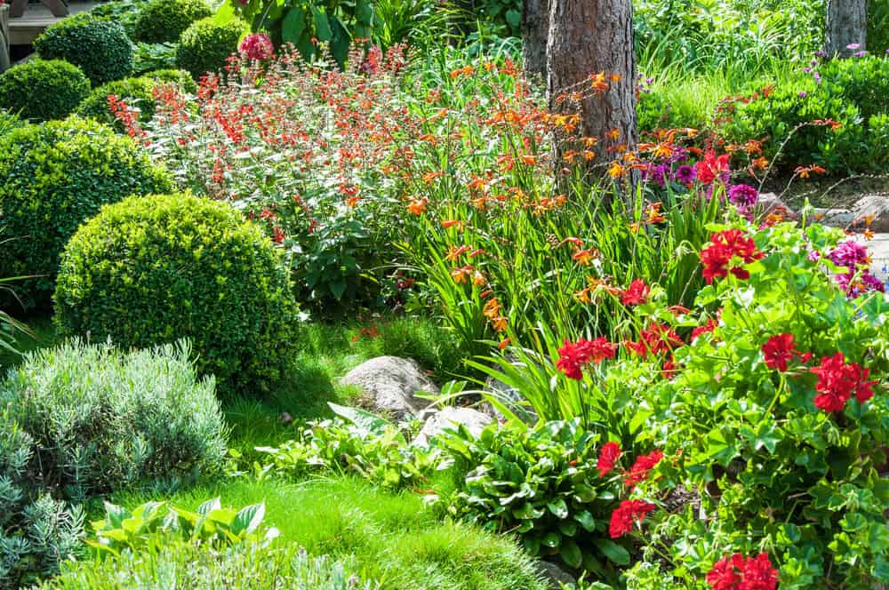 Beautiful flower garden with blooming seasonal flowers