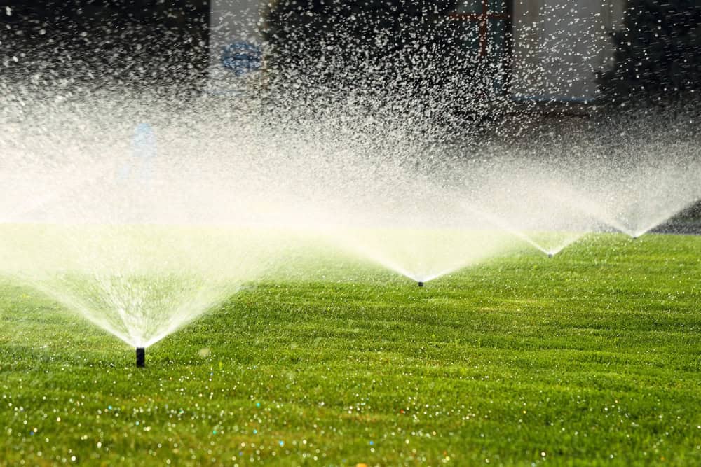 conroys-lawn-landscaping-irrigation-sprinkler-repair-drainage-keller-tx-photo1 conroys-lawn-landscaping-irrigation-sprinkler-repair-drainage-keller-tx-photo1
