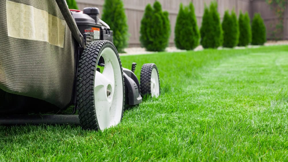 conroys-lawn-landscaping-landscape-maintenance-keller-tx-photo1