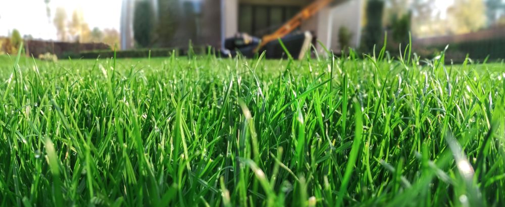 lawn-care-lawn-mowing-near-me-keller-southlake-colleyville-conroys-lawn-landscape